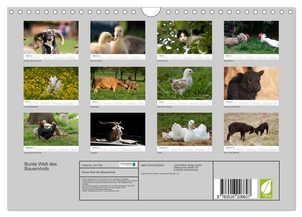Produktbild: Bunte Welt des Bauernhofs (Wandkalender 2026 DIN A4 quer), CALVENDO Monatskalender