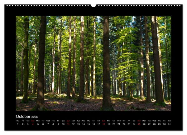 Produktbild: The Black Forest - UK Version (High Quality Premium Wall Calendar 2026 DIN A2 landscape),CALVENDO 12 Month Wall Calendar