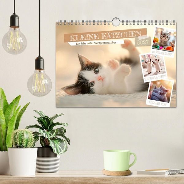 Produktbild: Kleine K&auml;tzchen - Ein Jahr voller Samtpfotenzauber (Wandkalender 2027 DIN A4 quer), CALVENDO Monatskalender