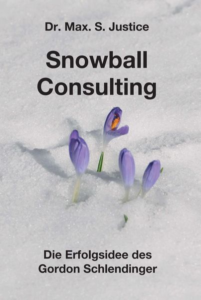 Produktbild: Snowball Consulting