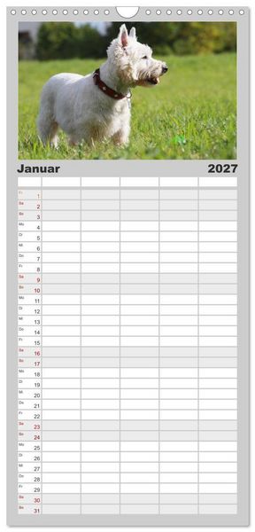 Produktbild: Familienplaner 2027 - West Highland White Terrier - Selbstbewustes Powerpaket - der Westie mit 5 Spalten (Wandkalender, 21 x 45 cm) CALVENDO