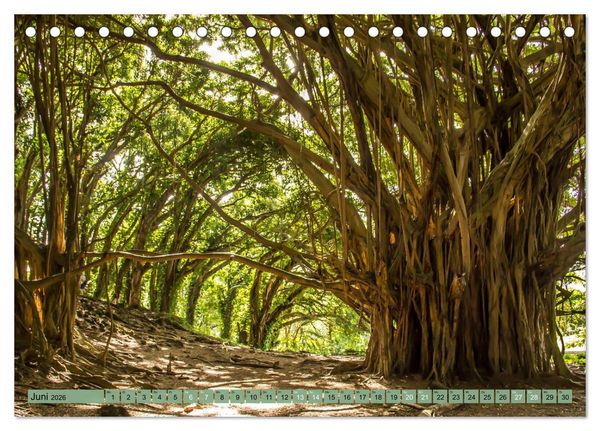 Produktbild: Big Island - Reise in eine unvergessliche Welt (Tischkalender 2026 DIN A5 quer), CALVENDO Monatskalender