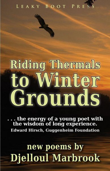 Produktbild: Riding Thermals to Winter Grounds