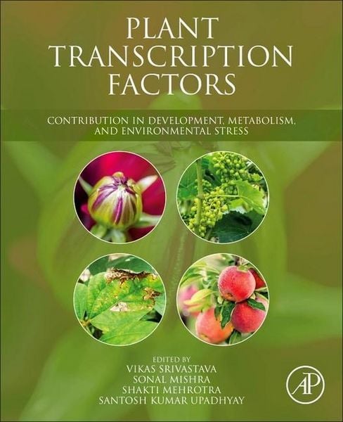 Produktbild: Plant Transcription Factors