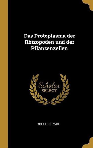 Produktbild: Das Protoplasma Der Rhizopoden Und Der Pflanzenzellen