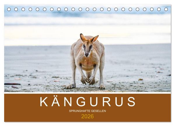 Produktbild: K&auml;ngurus, sprunghafte Gesellen (Tischkalender 2026 DIN A5 quer), CALVENDO Monatskalender