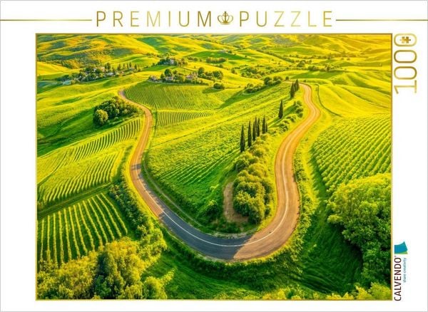 CALVENDO Puzzle Straße zwischen Weinreben und Zypressen | 1000 Teile Lege-Größe 64x48cm Foto-Puzzle für glückliche Stunden