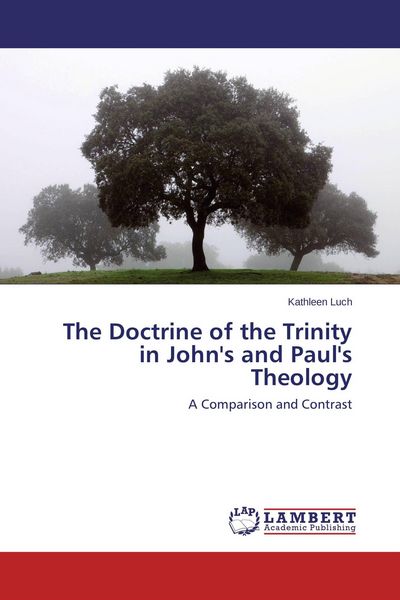 Produktbild: The Doctrine of the Trinity in John's and Paul's Theology