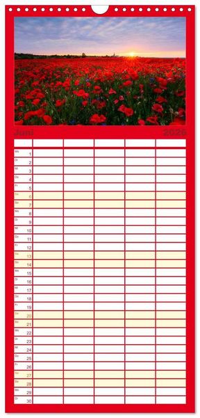 Produktbild: Familienplaner 2026 - Stimmungsvolle Landschaften in Sachsen mit 5 Spalten (Wandkalender, 21 x 45 cm) CALVENDO