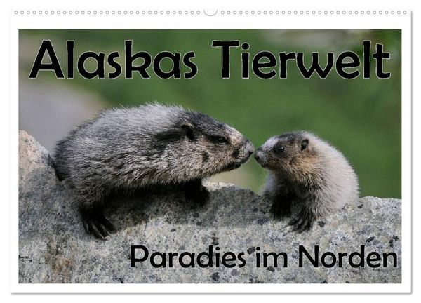 Produktbild: Alaskas Tierwelt - Paradies im Norden (Wandkalender 2027 DIN A2 quer), CALVENDO Monatskalender