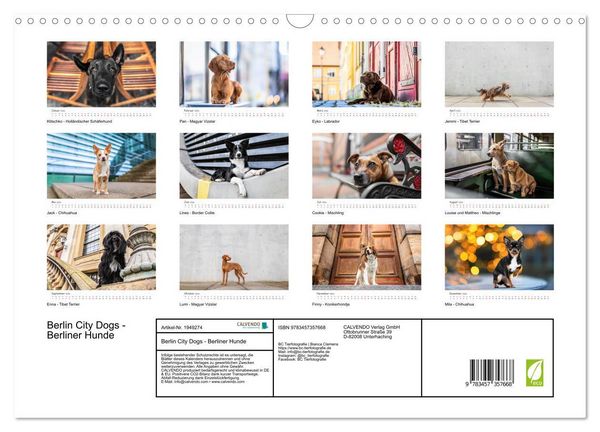Produktbild: Berlin City Dogs - Berliner Hunde (Wandkalender 2026 DIN A3 quer), CALVENDO Monatskalender