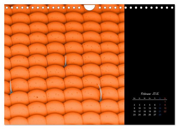 Produktbild: strucTEMs Mikrowelt - Winzige Nachbarn ganz gro&szlig; (Wandkalender 2026 DIN A4 quer), CALVENDO Monatskalender