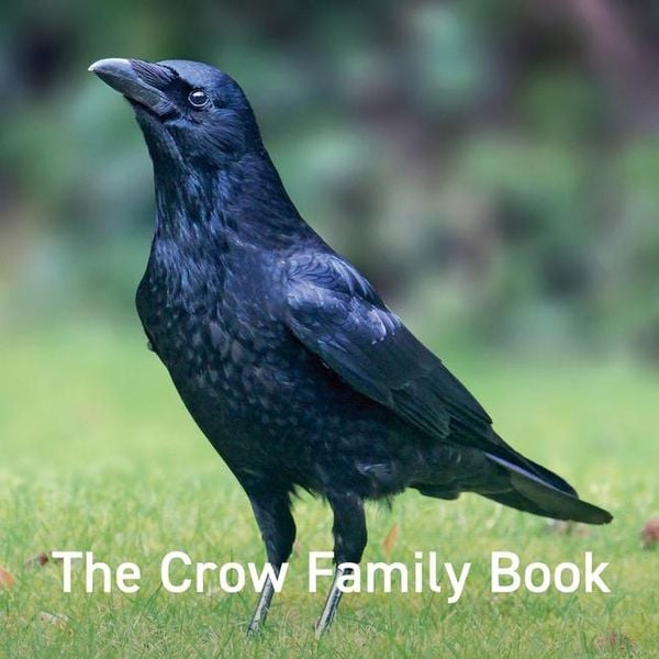 Produktbild: Russ, J: Nature Book Series: The Crow Family Book