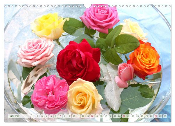 Produktbild: So viele sch&ouml;ne Rosen (Wandkalender 2026 DIN A3 quer), CALVENDO Monatskalender