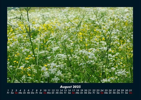 Produktbild: Blumenkalender 2025 Fotokalender DIN A4