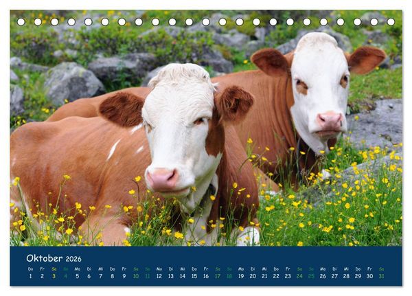 Produktbild: Bergwelt Hohe Tauern - Wandergenuss in alpiner Landschaft (Tischkalender 2026 DIN A5 quer), CALVENDO Monatskalender