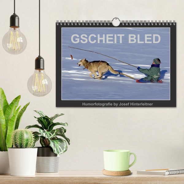 Produktbild: GSCHEIT BLED - Humorfotografie (Wandkalender 2026 DIN A4 quer), CALVENDO Monatskalender