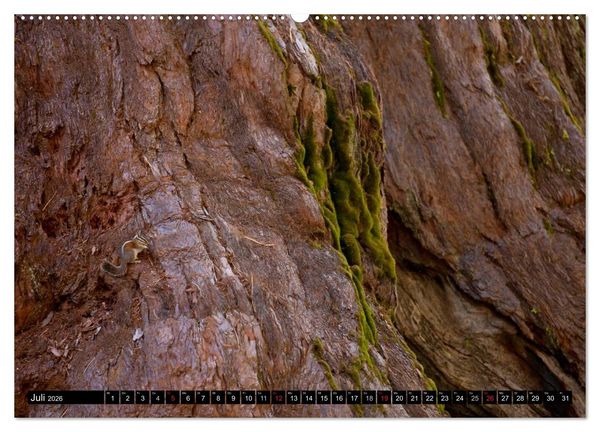 Produktbild: Yosemite - USA (hochwertiger Premium Wandkalender 2026 DIN A2 quer), Kunstdruck in Hochglanz