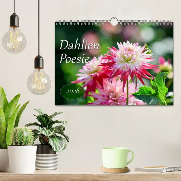 Produktbild: Dahlien Poesie (Wandkalender 2026 DIN A4 quer), CALVENDO Monatskalender