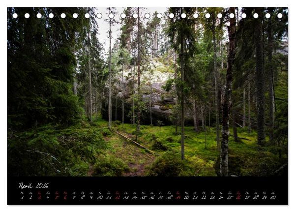 Produktbild: Wald (Tischkalender 2026 DIN A5 quer), CALVENDO Monatskalender