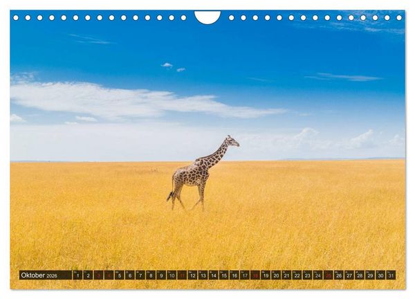 Produktbild: Ostafrika (Wandkalender 2026 DIN A4 quer), CALVENDO Monatskalender