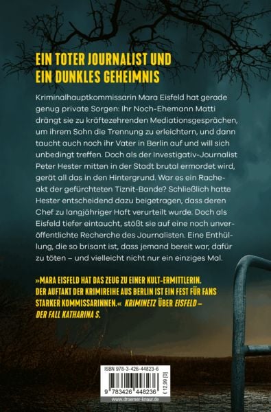 Produktbild: Eisfeld &ndash; Dunkle Enth&uuml;llungen