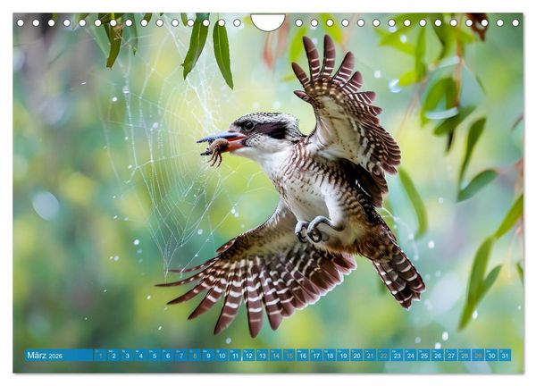 Produktbild: Der Kookaburra - Im australischen Busch mit dem lachenden Hans (Wandkalender 2026 DIN A4 quer), CALVENDO Monatskalender