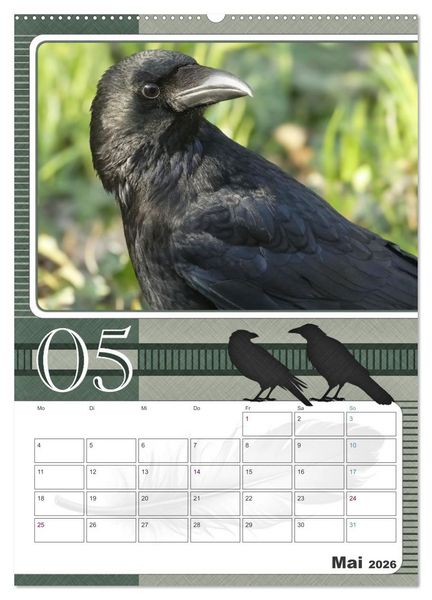 Produktbild: Kr&auml;hen - Clever notiert! Mit K&ouml;pfchen durchs ganze Jahr (hochwertiger Premium Wandkalender 2026 DIN A2 hoch), Kunstdruck in Hochglanz