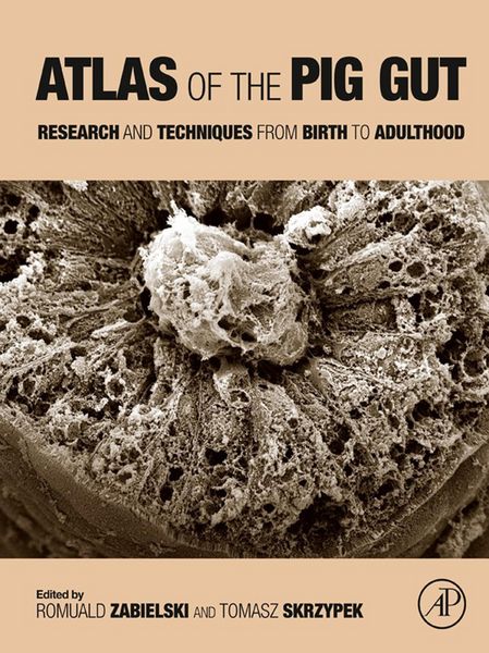 Produktbild: Atlas of the Pig Gut