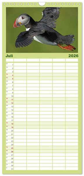 Produktbild: Familienplaner 2026 - Papageitaucher - Clowns der nordischen Vogelwelt mit 5 Spalten (Wandkalender, 21 x 45 cm) CALVENDO