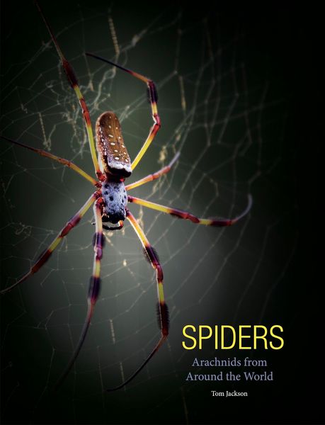Produktbild: Spiders