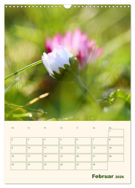 Produktbild: Vertr&auml;umte G&auml;nsebl&uuml;mchen (Wandkalender 2026 DIN A3 hoch), CALVENDO Monatskalender