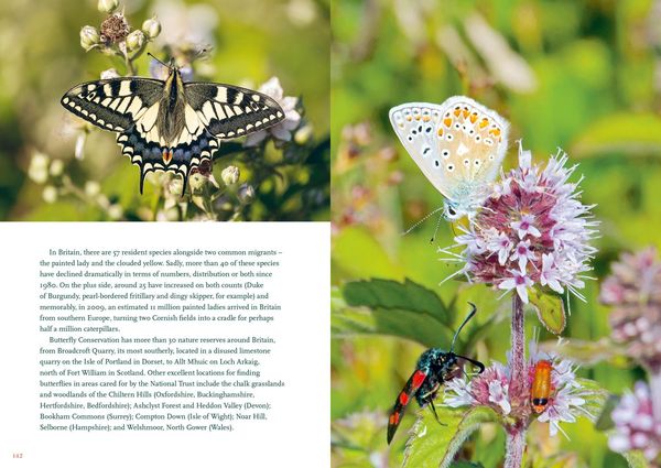 Produktbild: The Nature Lover's Bucket List