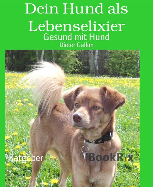 Produktbild: Dein Hund als Lebenselixier