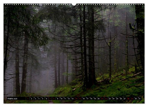 Produktbild: Lumi&egrave;res des Vosges (Calendrier mural 2026 DIN A2 vertical) calendrier de bureau