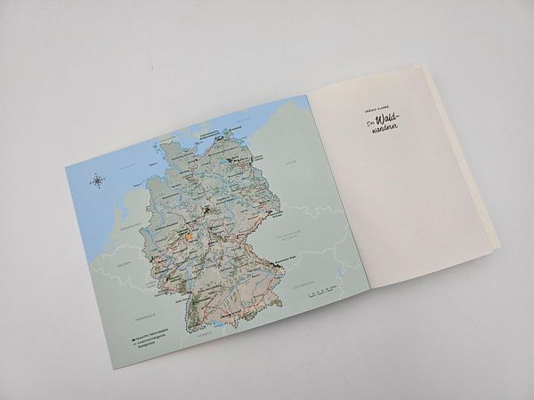 Produktbild: Der Waldwanderer