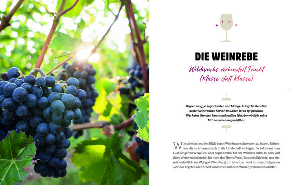 Produktbild: Wein
