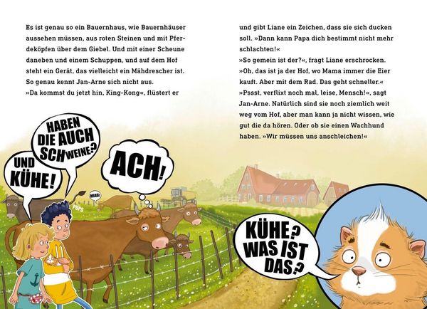 Produktbild: King-Kong, das Reiseschwein