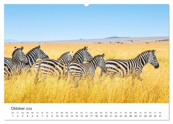 Produktbild: Safari durch Afrika (hochwertiger Premium Wandkalender 2026 DIN A2 quer), Kunstdruck in Hochglanz