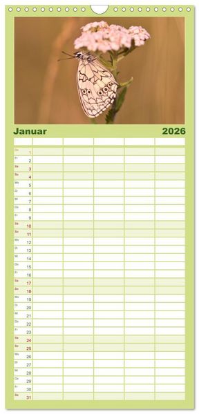 Produktbild: Familienplaner 2026 - Schmetterlinge. Schimmernde Zauberwesen mit 5 Spalten (Wandkalender, 21 x 45 cm) CALVENDO