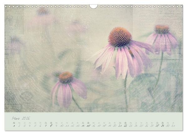 Produktbild: Shabby ist Chic (Wandkalender 2026 DIN A3 quer), CALVENDO Monatskalender