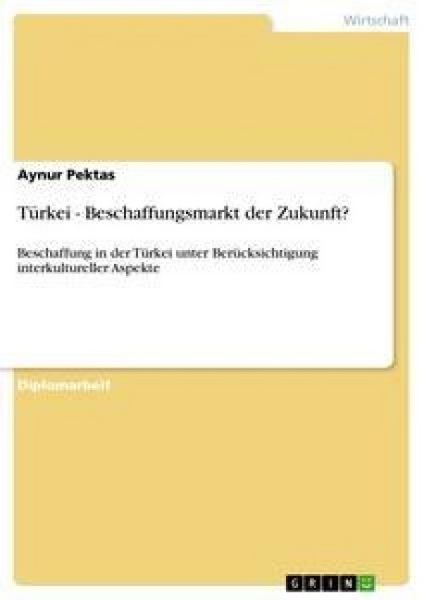 Türkei - Beschaffungsmarkt der Zukunft?, Taschenbuch von Aynur Pektas, GRIN, 9783638926287