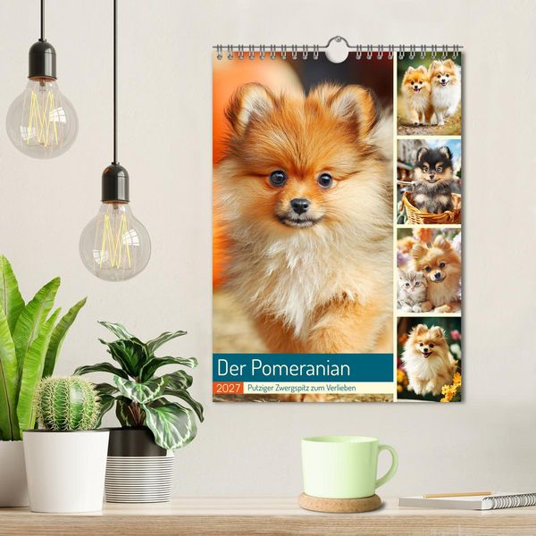 Produktbild: Der Pomeranian. Putziger Zwergspitz zum Verlieben (Wandkalender 2027 DIN A4 hoch), CALVENDO Monatskalender