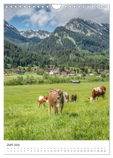 Produktbild: Sommerzauber in den Alpen (Wandkalender 2026 DIN A4 hoch), CALVENDO Monatskalender