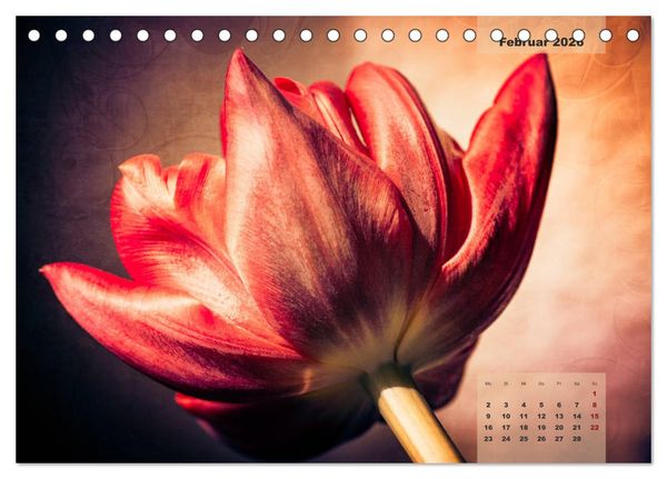 Produktbild: Bl&uuml;ten im Retro-Style (Tischkalender 2026 DIN A5 quer), CALVENDO Monatskalender