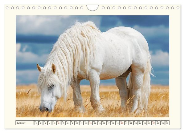 Produktbild: Irish Tinker Liebe. Der robuste Charme der Gypsy Cobs (Wandkalender 2027 DIN A4 quer), CALVENDO Monatskalender