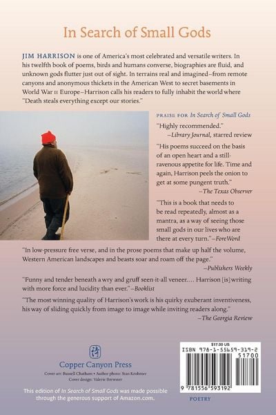 Produktbild: In Search of Small Gods