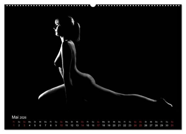 Produktbild: Kunstakt (Wandkalender 2026 DIN A2 quer), CALVENDO Monatskalender