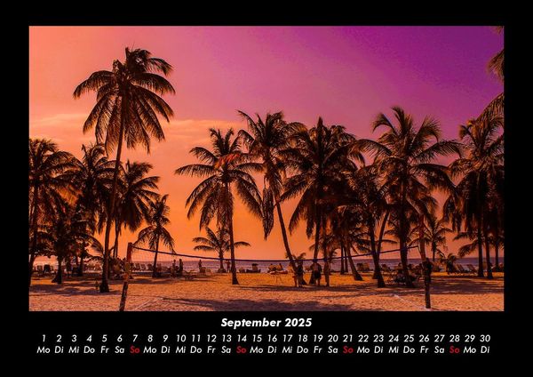 Produktbild: Palmentraum 2025 Fotokalender DIN A3