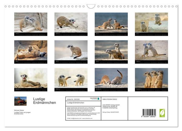 Produktbild: Lustige Erdm&auml;nnchen (Wandkalender 2027 DIN A3 quer), CALVENDO Monatskalender